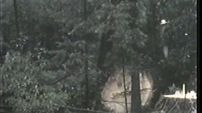 Young Big Timber 1973: A Gay Vintage Journey into Desire