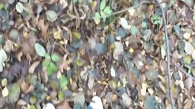 Gay Action in the Park