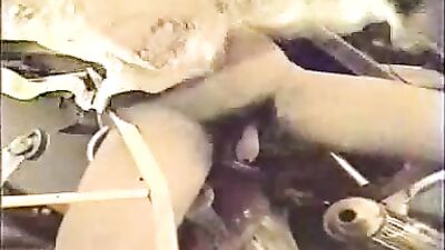 Gay Porn: The Ultimate Blissful Orgasms with Luscious Blowjobs!