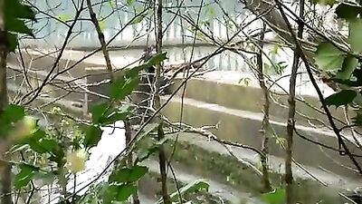 Johnnys Frat Bud Car Fuck: A Gay Porn Adventure