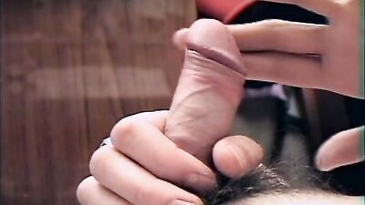 Vintage Passion: The Game Boy Collection