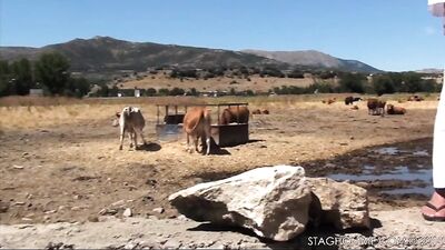 The Milking Men - Horse Play!