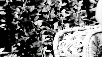 Gay Exploration: Naked Men & Pure Passion!