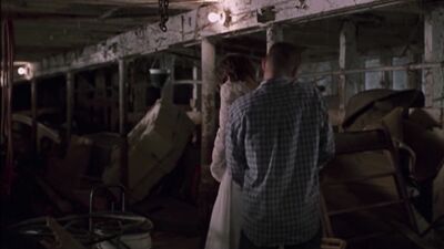 Gay Pride Country Wedding - A hot and steamy gay porn video with a country twist!