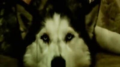 Hot Twinks Collection: Cum Shots, Oral Delights!