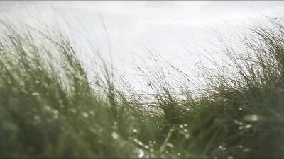 Boy Saint - The Epitome of Gay Short Films