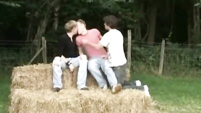 All the Boys of the Wood