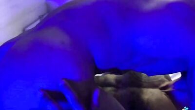 Creampie Black Porn Gay