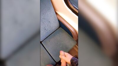 Bus and train cumpilation