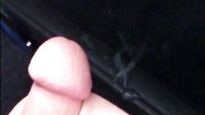 Bus and train cumpilation