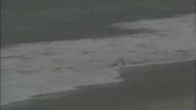 Summer, the first time - Full twink Porn with Johan Paulik