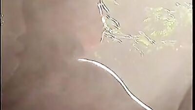 Tropical Twink Orgy Porn