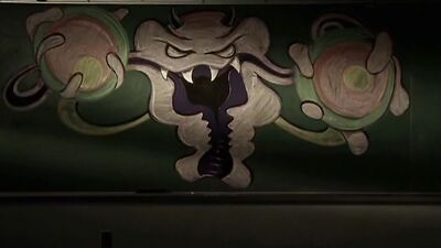 AA Vid S - Late Bloomer (short file)