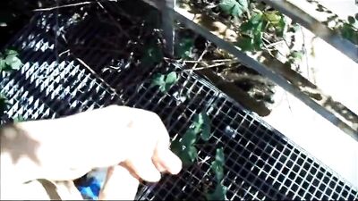 Jerking off nude in site of traffic