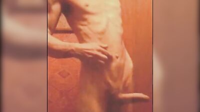 SEXI BAUCHI