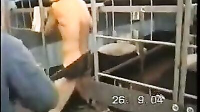 Fun day in the barracks