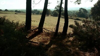 AA Vid S - L_échappée sauvage (short film)