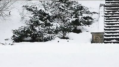 Cold outside but lets get hot in here! - A steamy adventure for all