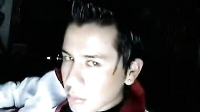 Exploring New Web-Cam Experiences with Nice Boy!