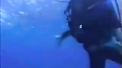 Japanese Velvet Blue - Bareback Asian Cocks