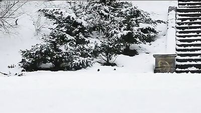 Insite Action: Bareback Cum Shots - The Ultimate Gay Porn Experience