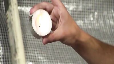 Bound BDSM Boys Fetish Journey: Big Cocks Await!