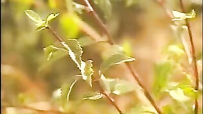 Outdoor Bareback Fucking - Exploring the Woods