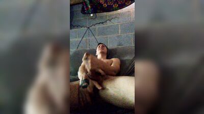 Gay Porn Messing Around - Hardcore and Raw Lmfao Action!