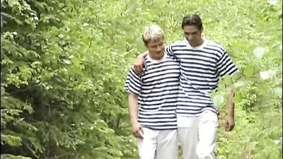 Cruising In The Woods