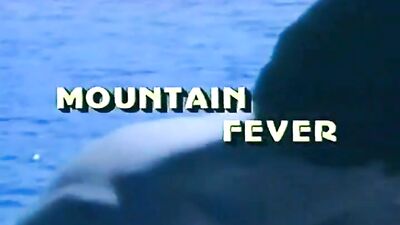 Mountain Fever: Twinks in the Mountains