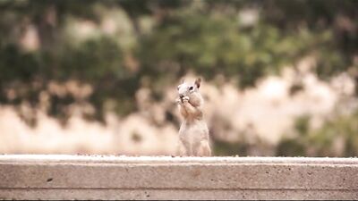 Twink Heat - Bareback US Edition