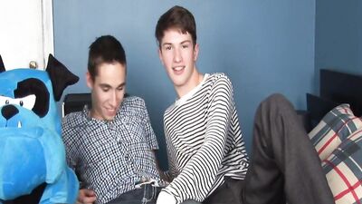 US Twinks 6: Bareback Bonanza!