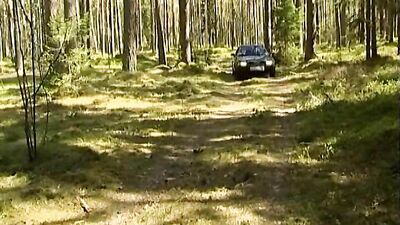 Bareback Passion: Raw Anal Action!