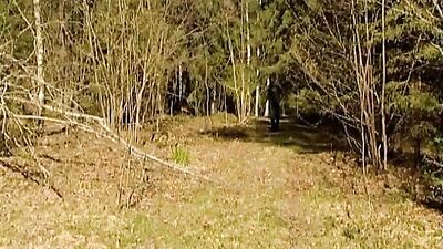 Bareback Analist #03 - A Wild Ride into Raw Action!