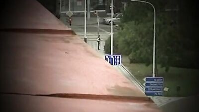 Forest Frenzy - Cum Shots Public Outside Solo