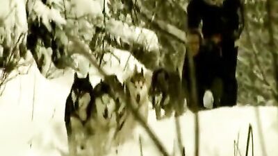 Johan Volnys Bareback Collection - An Erotic Adventure!