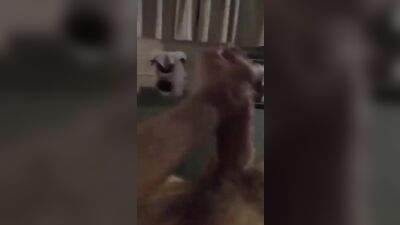 Gay Porn Straight Twink #3 - Tricked Up & Ready to Play!