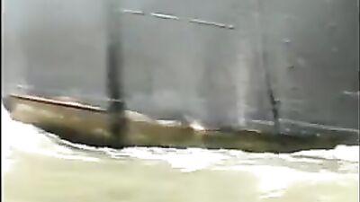 Moes Bareback Cumshots Oral Adventure