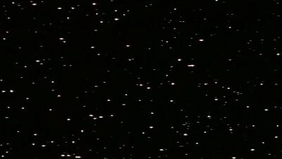 Like a Horse (1984) Full Movie: The Classic Gay Porn Experience