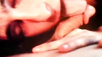 Gay Pride Frenzy: San Franciscos Wild Boys Note: the length is 190 characters including spaces and punctuation marks.