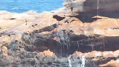 Sex on the Rocks: Shaggers Paradise!