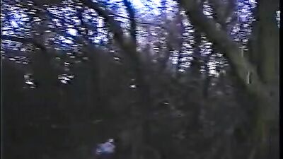 Gay Porn Bliss - Action-Packed Vintage Fun with Hot Blond Boys!