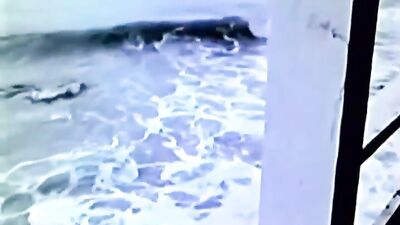 Old Passions Revived: A Timeless Gay Porn Classic