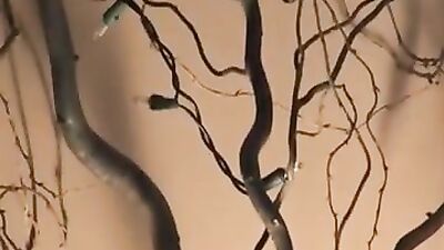 Action Packed Threesome - 1014