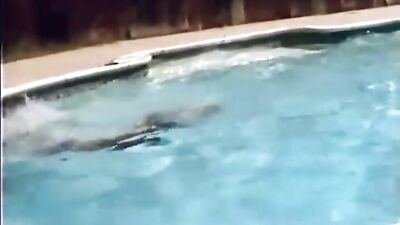 Swim Meat Returns: Coach Hunters Latest Seduction!