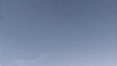 My Favorite Gay Porn - The Ultimate Collection!