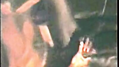 SFO San Francisco Orgy Revisited - A Vintage Classic Redefined!