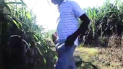 Black Hottie: The Ultimate Gay Porn Experience