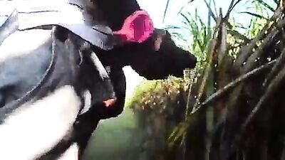 Black Hottie: The Ultimate Gay Porn Experience