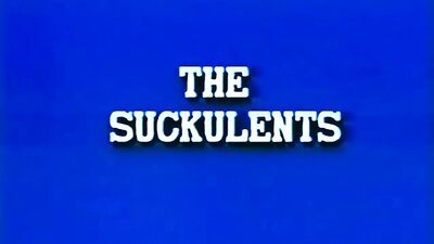 The Suckulents 2 - First Class Male Adventure